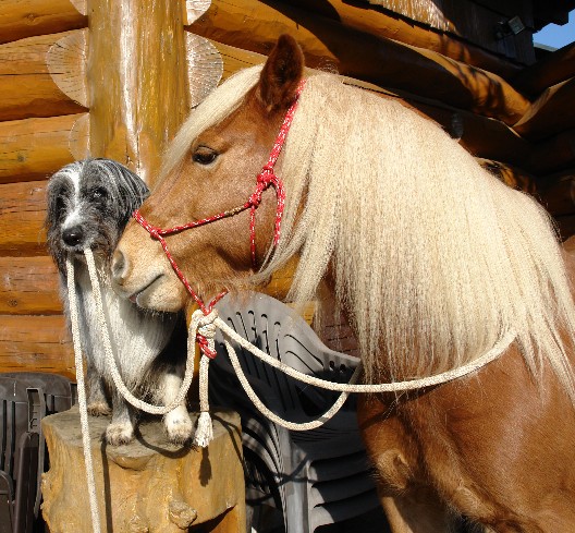 1.foto
