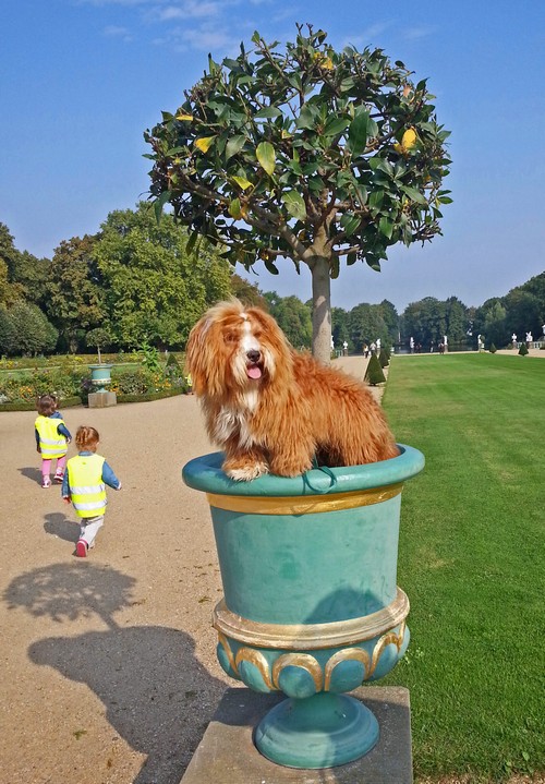 10 Schlossgarten500