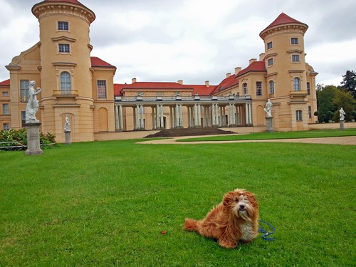 11 Schloss500
