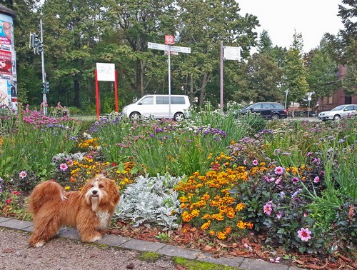 17 Neuruppin Park500