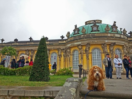 19 Potsdam500