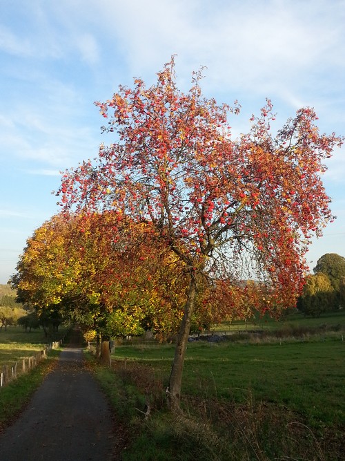 20131022_171609500