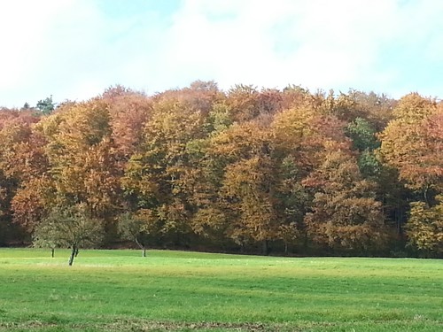 20131023_151724500
