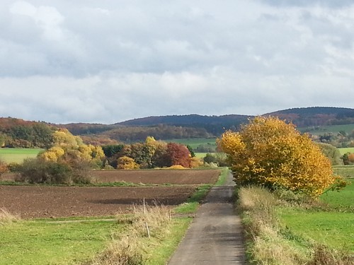 20131023_152638500