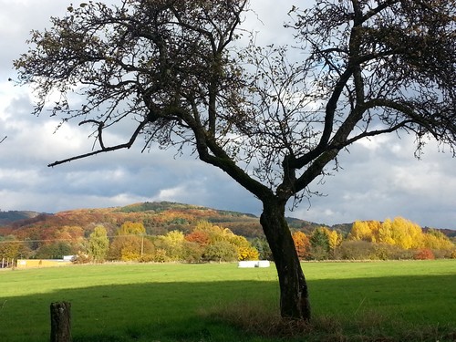 20131023_155858500