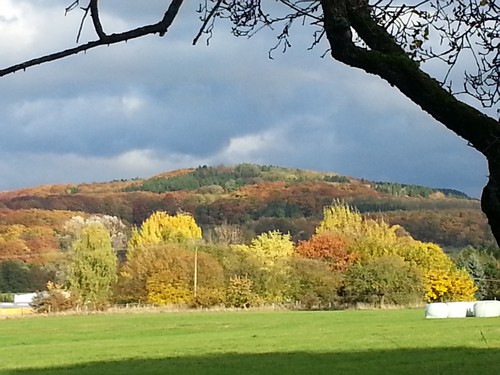 20131023_155911500