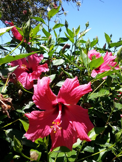 20150701_142458500