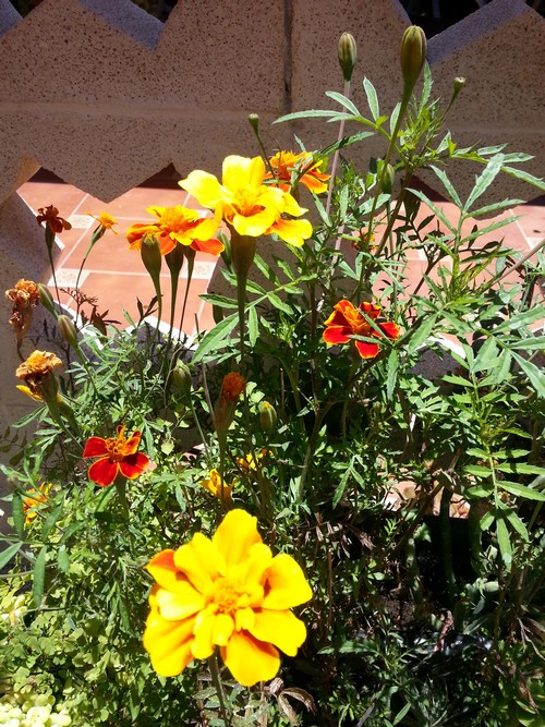 20150701_143243500