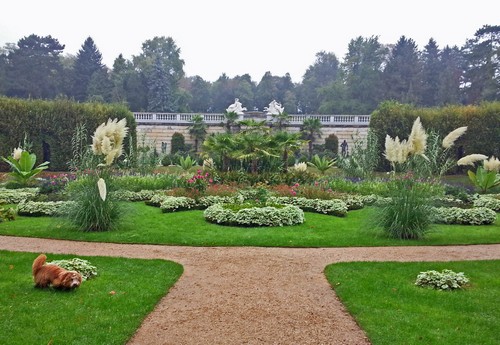 21 Potsdam500