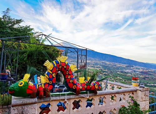 33Raupe vor Teide500