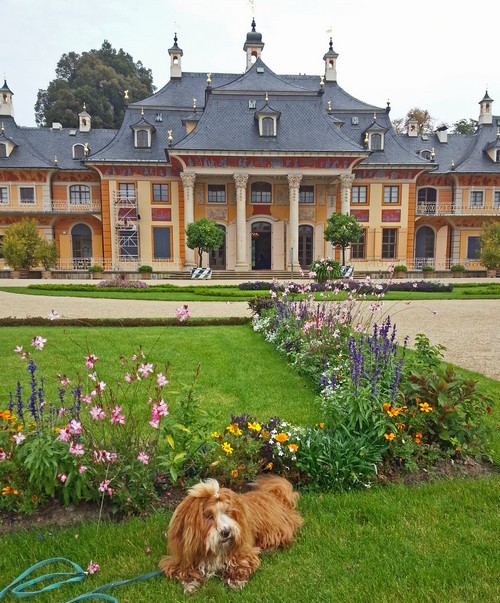 37 Schloss500