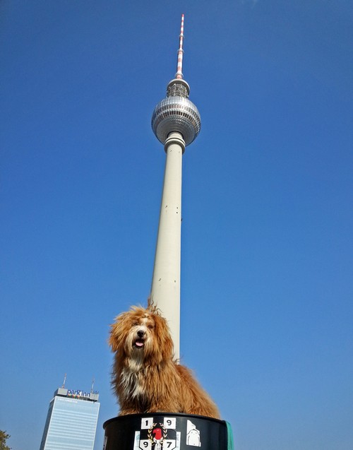 3 Berlin Funkturm500