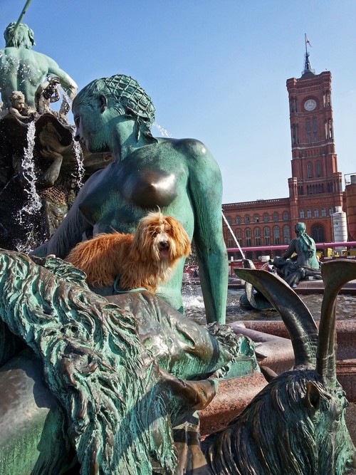 4 Berlin Brunnen500