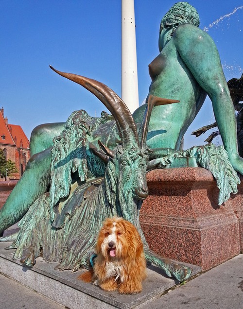 5 Berlin Brunnen500