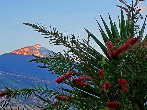 6 Teide Mrz 14500
