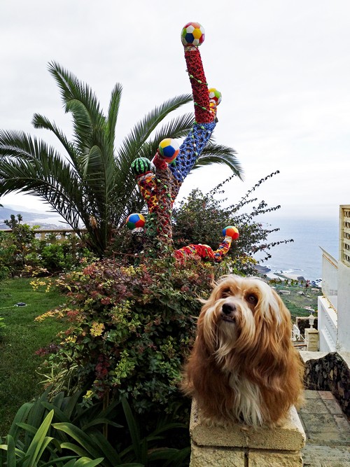 Baum mit Simba500
