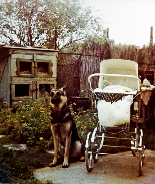 Bella mit Frank500