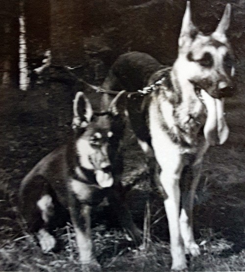 Bella und Rontu500