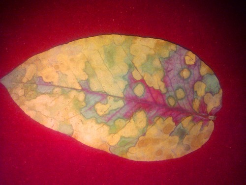 Blatt a500