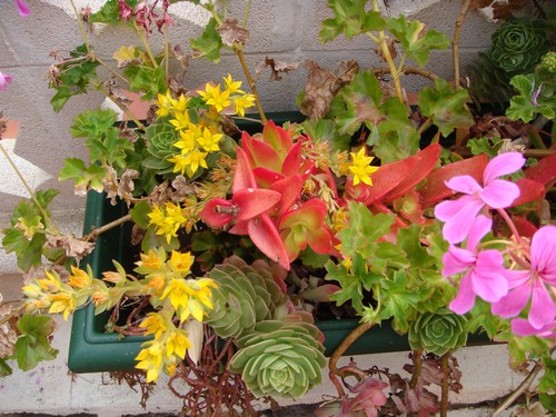 DSC00757500