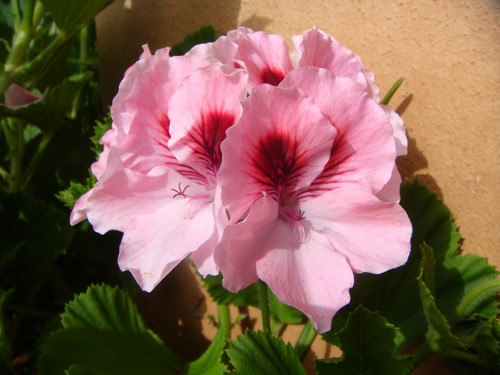 DSC01764500