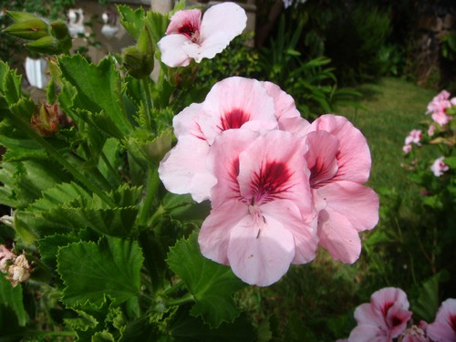DSC01765500