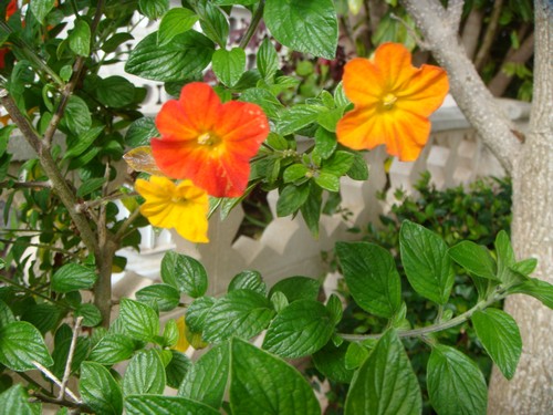 DSC01767500