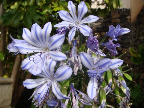 DSC01769500