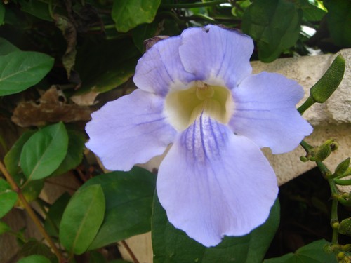 DSC01784500