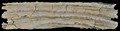 Holz-120