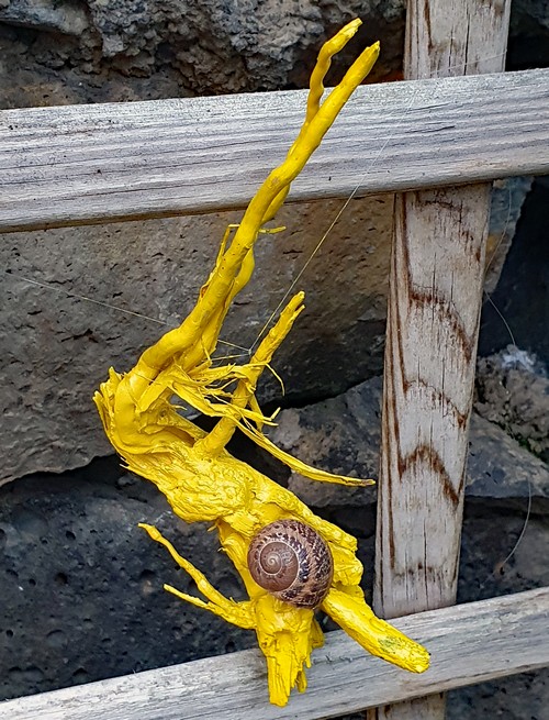 Holz mit Schnecke500