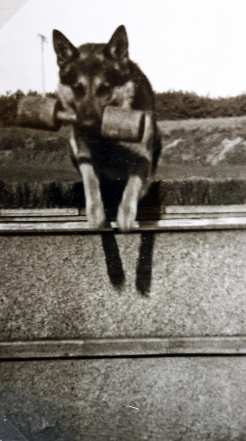 H�rdensprung500