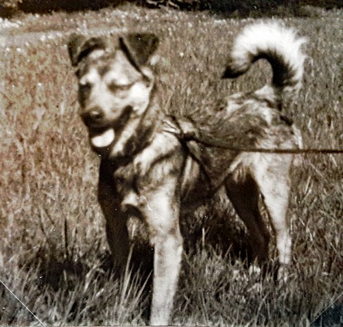 Ilka500
