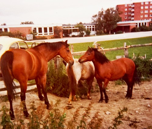 Katja 4500
