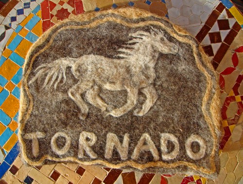 Namensschild Tornado500