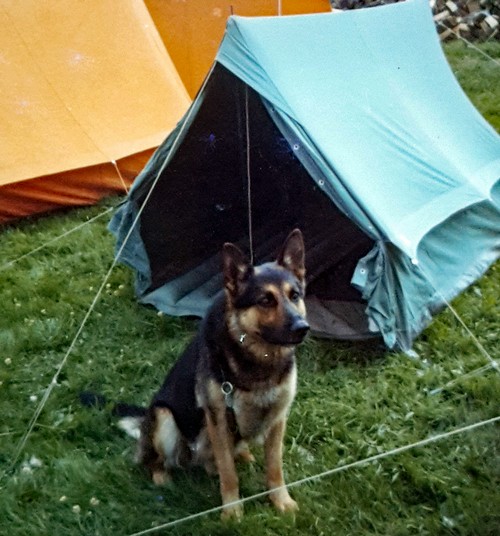 Rontu und Zelt500