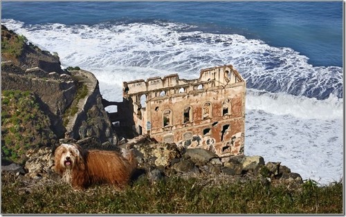 Ruine[2]500