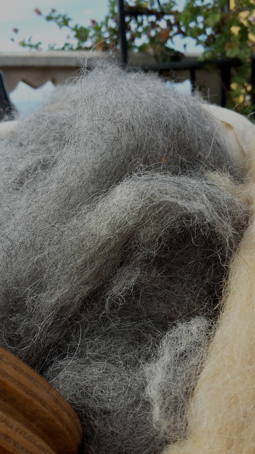 Schaf Mohair500