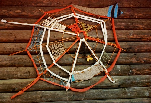 Spinnennetz500