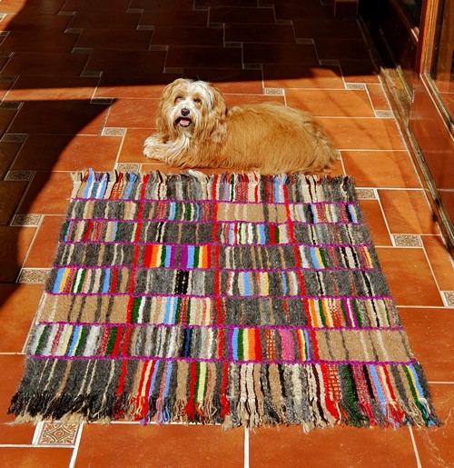 Teppich mit Simba500
