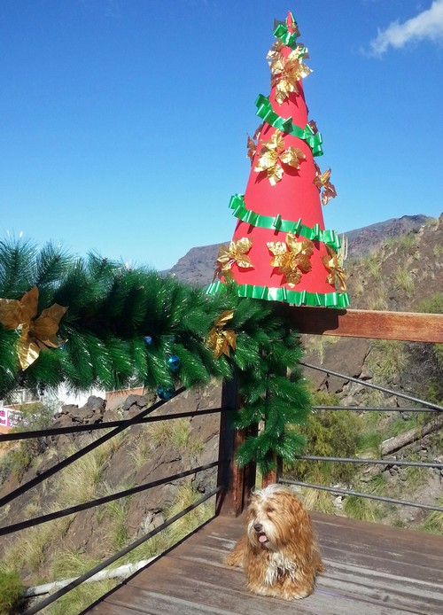 Weihnachten500