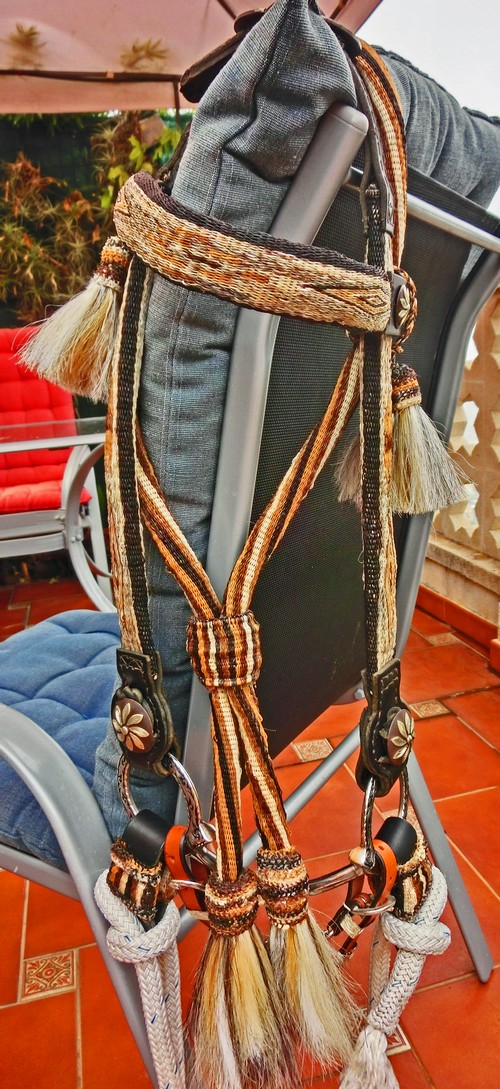 Zaum 12500
