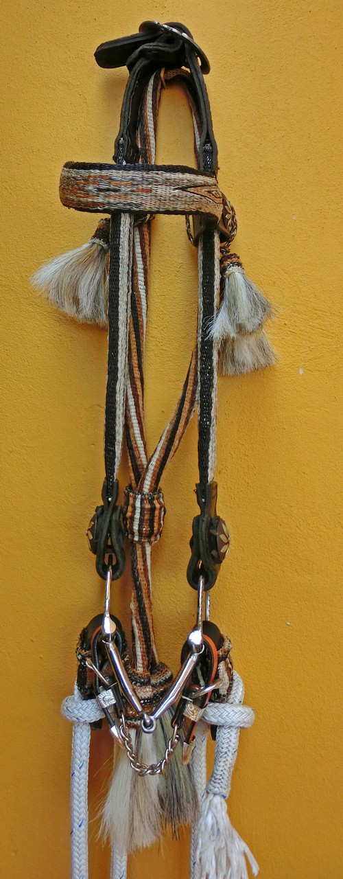 Zaum 1500