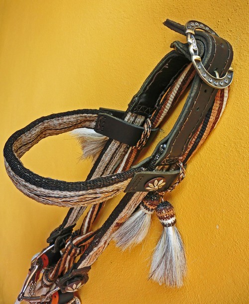 Zaum von oben500