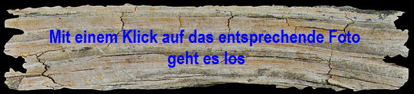 Holz-600