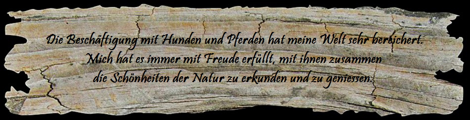 Holz-950
